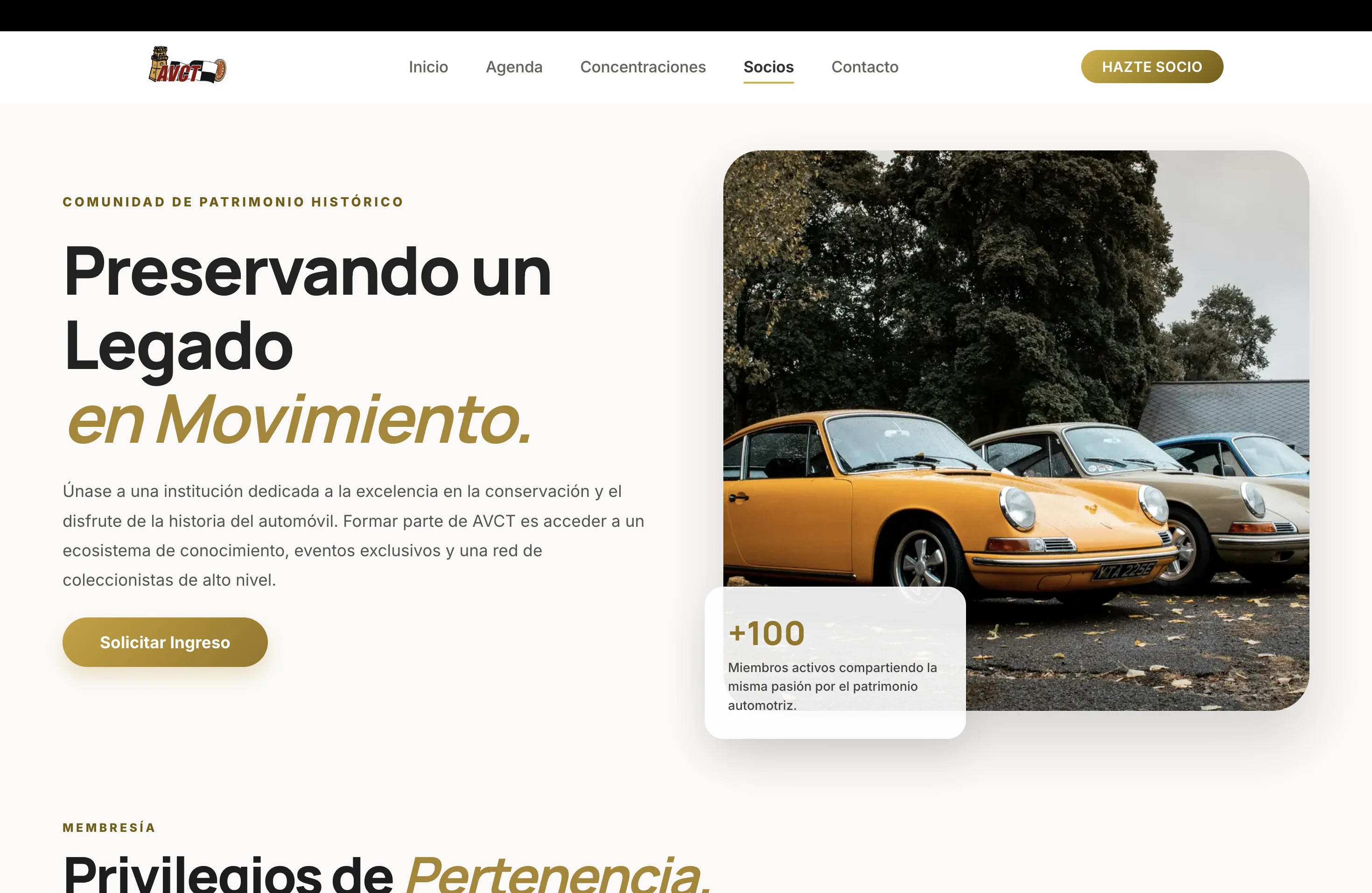 Captura 4 AVCT · Vehículos Clásicos